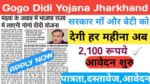 Gogo didi yojana form apply